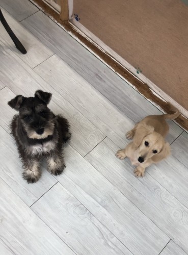 写真 2020-10-22 13 11 49