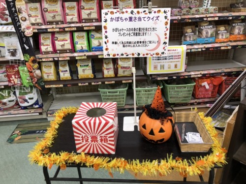 写真 2020-10-02 17 49 36