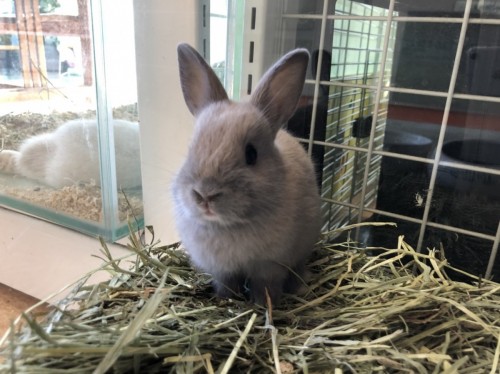 写真 2020-10-05 16 41 38