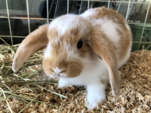 写真 2020-10-05 16 41 36