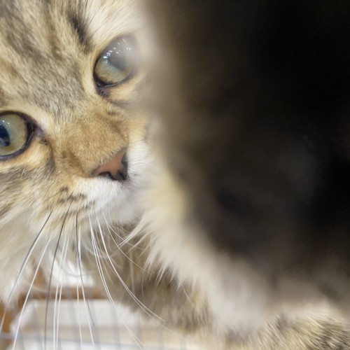 写真 2020-10-21 18 20 15