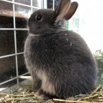 写真 2020-12-02 14 22 51