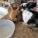 写真 2020-12-02 14 22 46