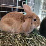 写真 2020-12-02 14 22 49