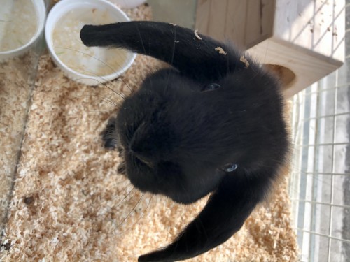 写真 2021-01-16 12 16 10