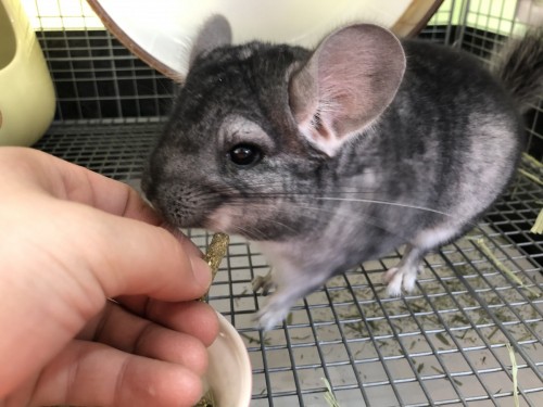 写真 2021-01-16 12 23 32