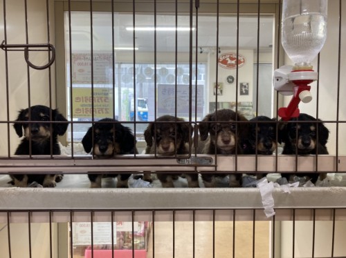 写真 2021-02-18 16 34 44