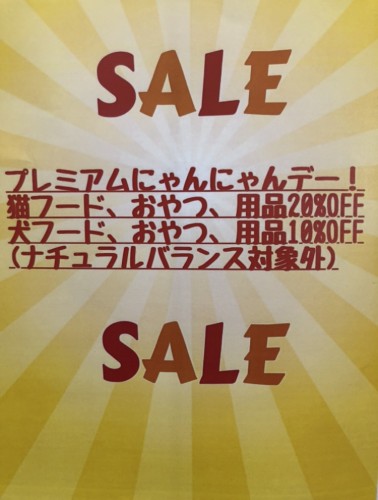 写真 2021-02-21 8 29 37