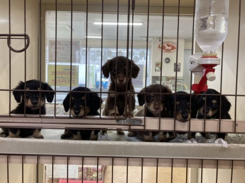 写真 2021-02-18 16 34 38