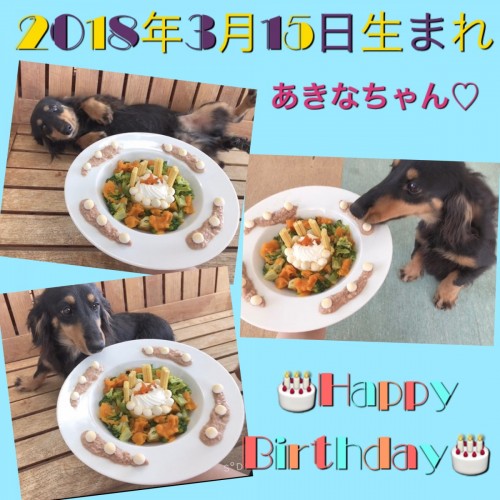 15A3ECFF-E826-463E-B8C8-25CBBAA8CE2F