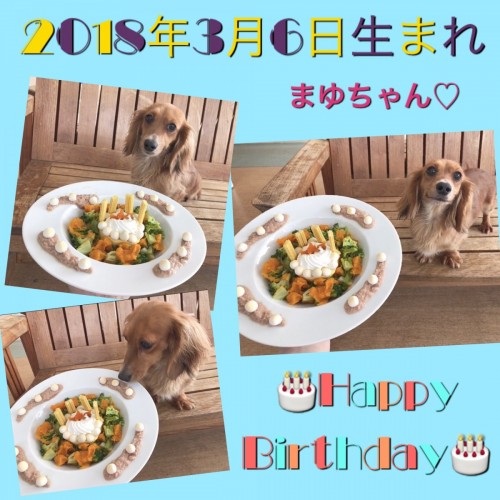 B4F1380B-A9FC-4770-9509-16E0DA6663BD