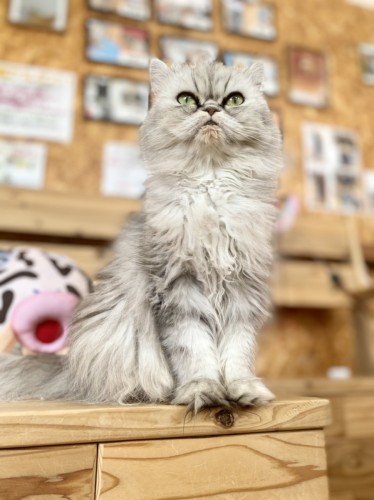 写真 2021-06-10 15 02 09