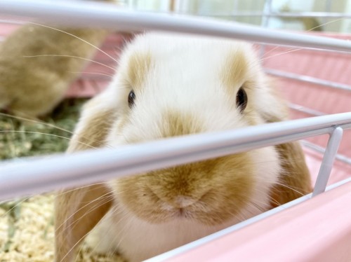 写真 2021-06-01 15 19 06