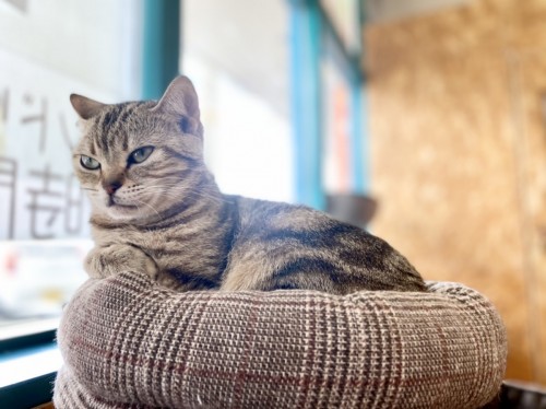 写真 2021-06-10 15 02 10 (1)