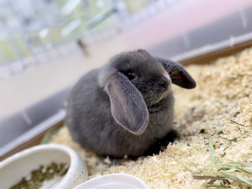 写真 2021-06-01 15 19 02