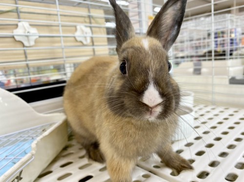 写真 2021-06-01 15 19 08