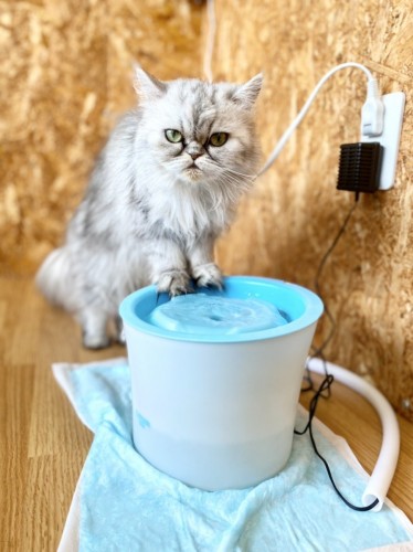 写真 2021-06-10 15 02 10 (2)