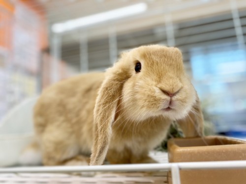 写真 2021-06-01 15 19 04