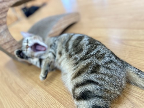 写真 2021-06-10 15 02 10