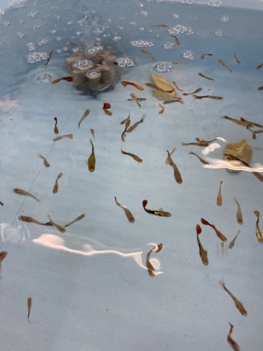 写真 2021-07-25 13 43 07