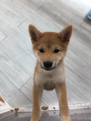 写真 2021-08-15 16 22 55