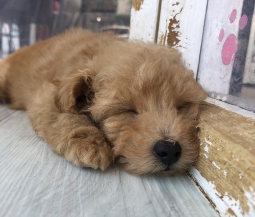 写真 2021-08-29 11 40 20 (3)