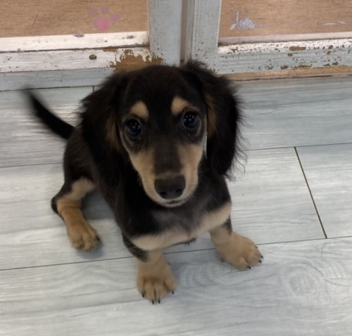 写真 2021-08-11 13 42 24