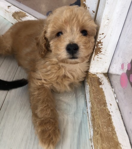 写真 2021-08-29 11 40 20