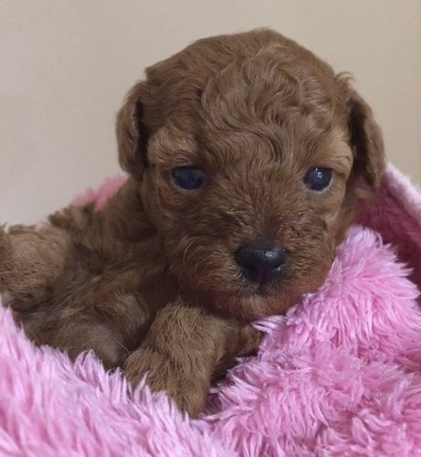 写真 2021-08-13 19 32 52