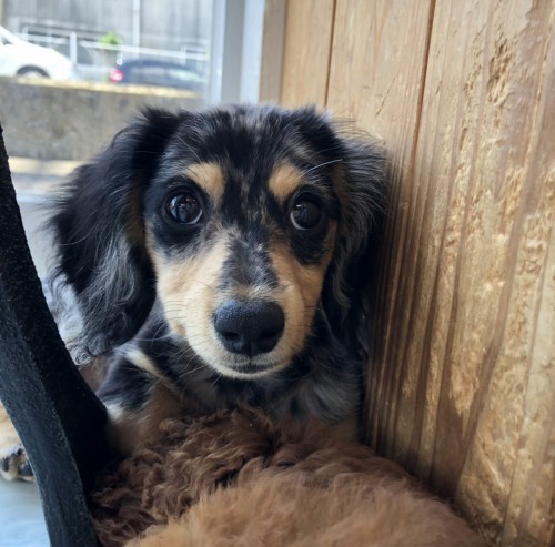 写真 2021-08-29 11 40 20 (2)