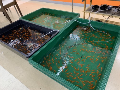 写真 2021-08-10 15 22 43