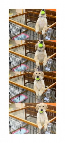 99A300A4-506E-45AF-AD4B-8EB7408D2750