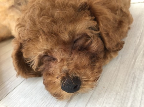 写真 2021-08-29 11 40 20 (1)