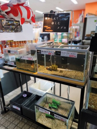 写真 2021-08-18 20 11 59