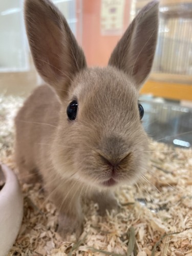 写真 2021-09-02 13 37 34