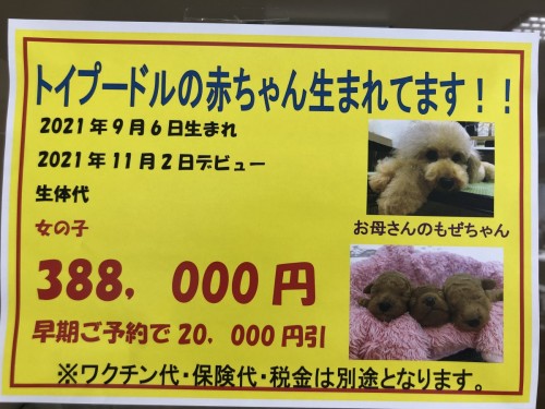 写真 2021-09-22 12 49 01