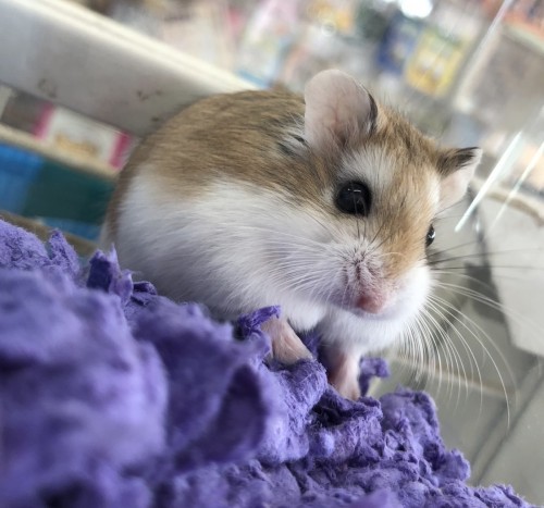 写真 2021-09-25 12 13 26 (2)