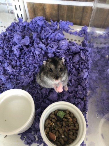 写真 2021-09-16 13 47 54