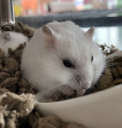 写真 2021-09-25 12 13 26