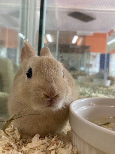 写真 2021-09-02 13 38 16