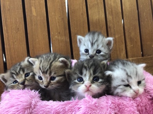 写真 2021-09-28 14 50 51