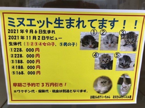 写真 2021-09-22 12 54 46