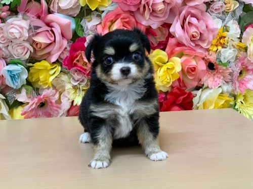 写真 2021-09-09 10 16 11 (6)