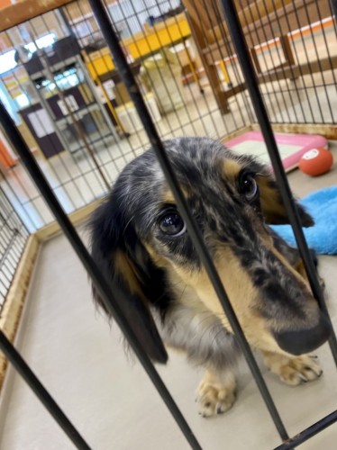 写真 2021-09-25 17 05 20