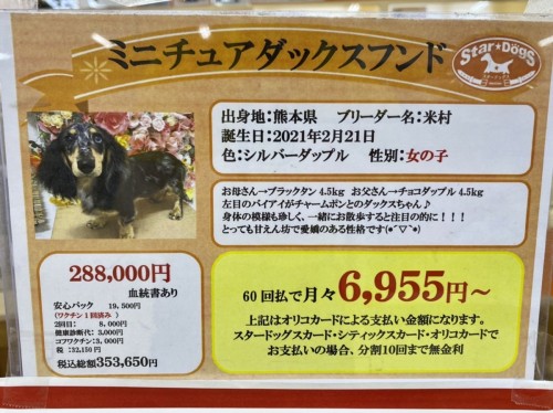 写真 2021-09-25 17 05 21 (1)