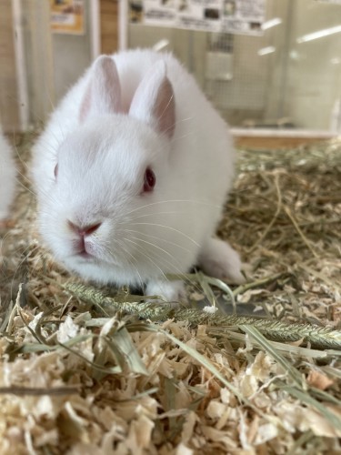 写真 2021-09-02 13 39 15