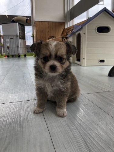 写真 2021-09-10 14 44 29