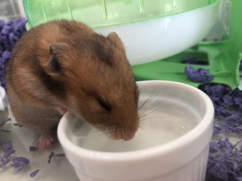 写真 2021-09-25 12 13 26 (1)