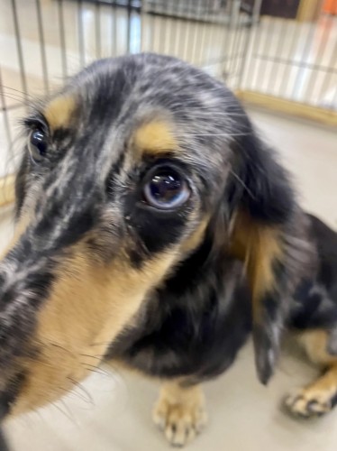 写真 2021-09-25 17 05 21