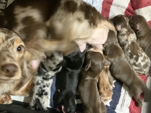 写真 2021-09-15 17 28 04